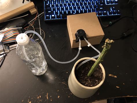 Automatic Watering System Raspberry Pi