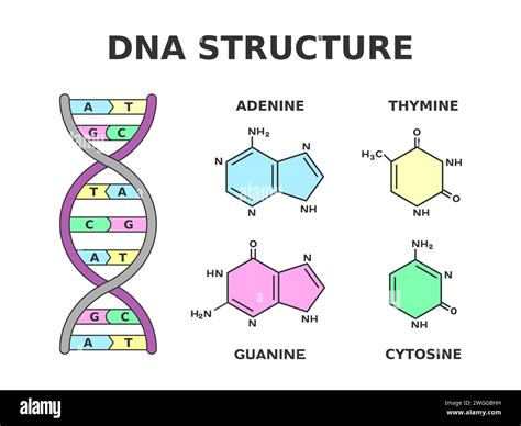 automatize adenine practically as possible