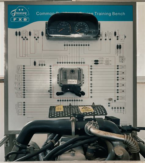 Automobile Study Qualification