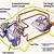 automotive gas engine diagrams