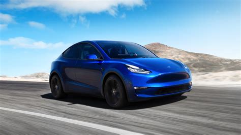 autonomia reale tesla model y long range