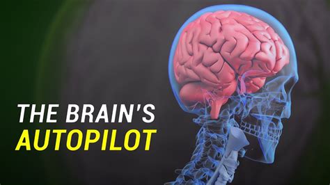 Autopilot Brain