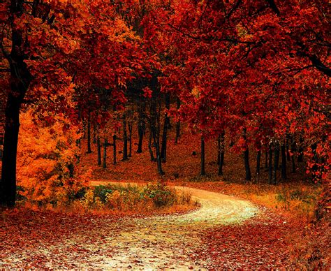 Autumn Fall Wallpaper: Embrace The Season's Beauty