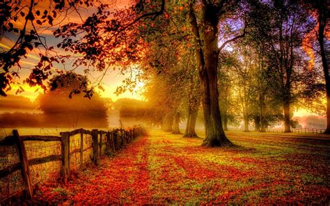 Autumn Home Screen Wallpaper: Embrace The Beauty Of The Season