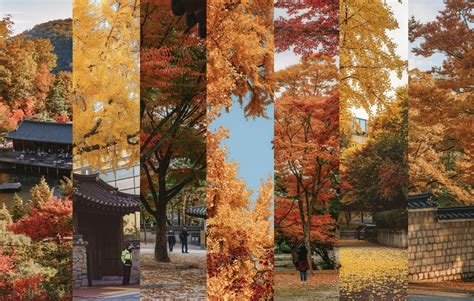 autumn in seoul 2023