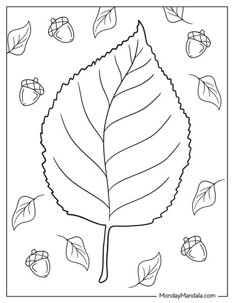 Autumn Leaf Colouring Pages