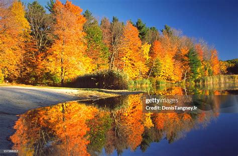 Autumn Reflection