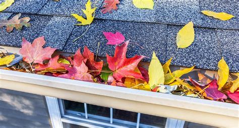 autumn specials for roofing services in perth