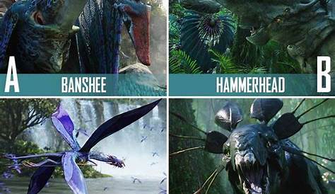 Avatar Animals Pandora Names World Of At Disney's Animal Kingdom Flight Of