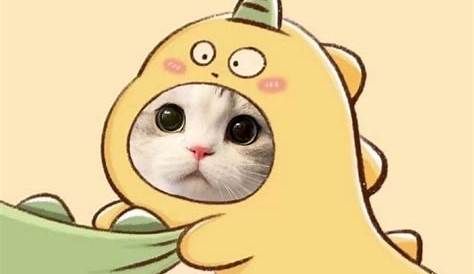 Avatar Anime ôm Mèo Top 96+ Về Thxombang edu vn