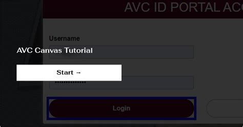 AVC Canvas Guide