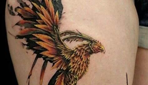 Back Phoenix tattoo Tatuagem phoenix, Tatuagem nas