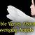 avenging angel bible