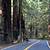 avenue of the giants rv park