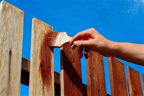 How to stain a fence DIY Painting Tips
