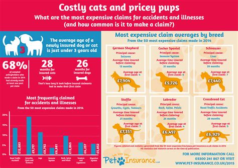 average cost of cat insurance petplan