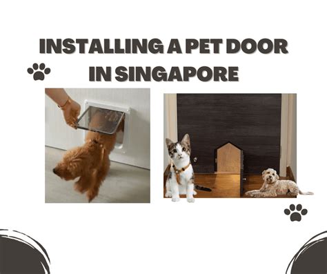 Average Cost Of Installing A Pet Door