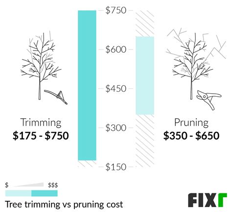 Average Cost Of Large Tree Trimming