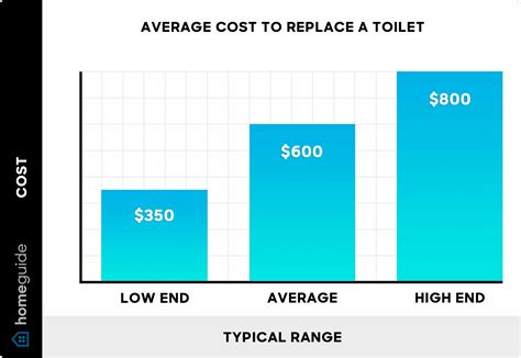 Average Cost To Replace Toilet Guts