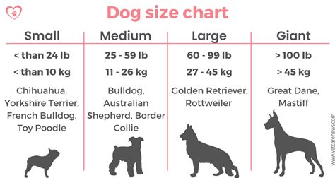 Average Dog Bath Size