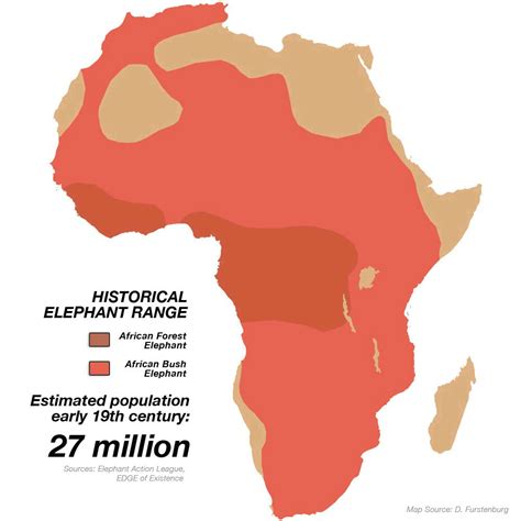 average elephant birth range in 198