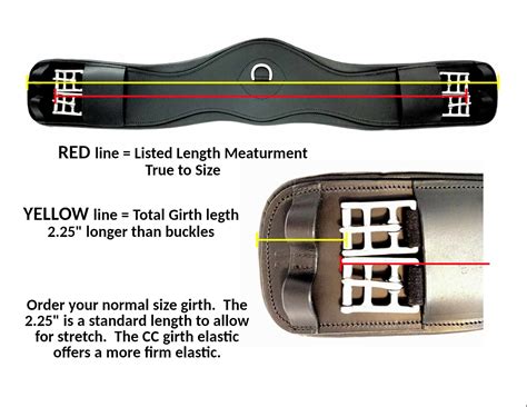 Average Girth Size Horse