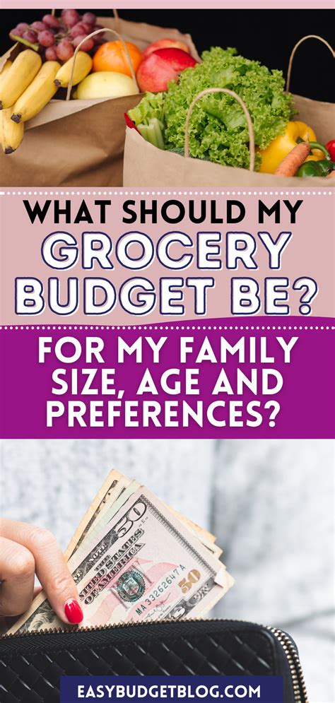 average grocery budget per month