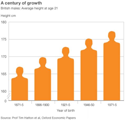 Average Height For Man England