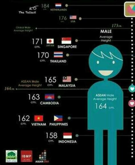 average height for men in malaysia