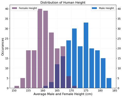 average height of a function