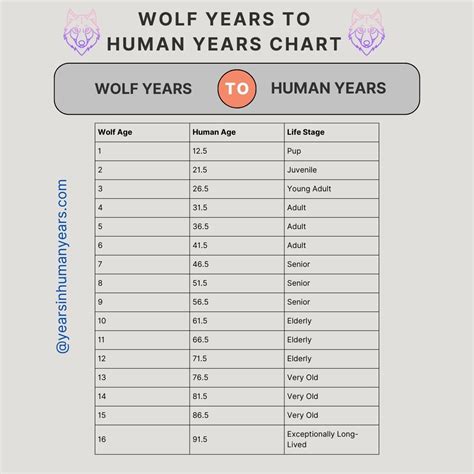 What Is The Average Lifespan Of A Wolf In The Wild