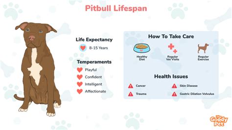 average pitbull terrier lifespan