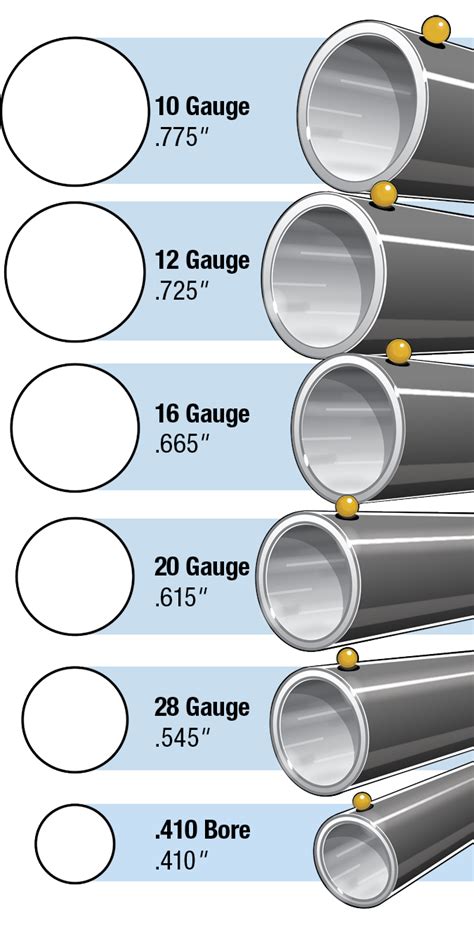 Average Radius Of The Inside Of A Shotgun Barrell