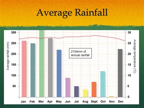 average rainfall rainforest