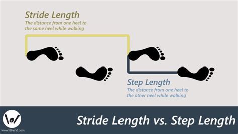 average step length by height