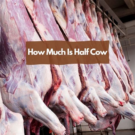 What Is The Average Weight Of Half A Cow