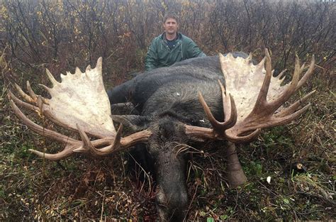 Whitetailed Vs Ford Deer Weight Facts