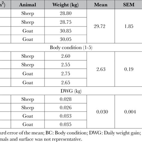 Average Weight Of Sheep Breeds And Factors That Influence It