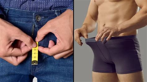 average willy size pictures