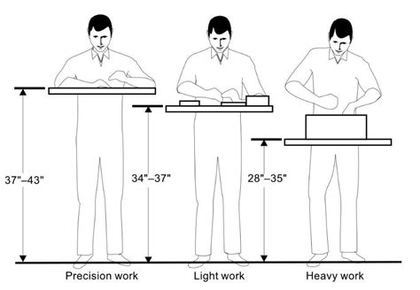 Average Woodworking Bench Height ofwoodworking