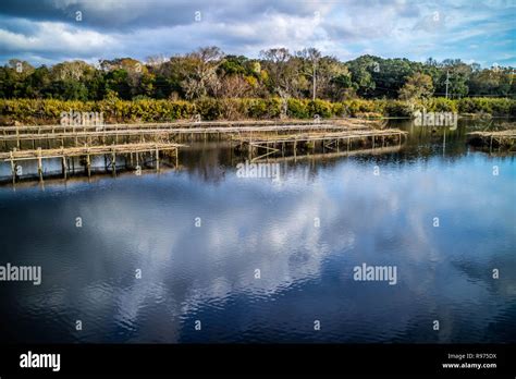 Avery Island Elevation