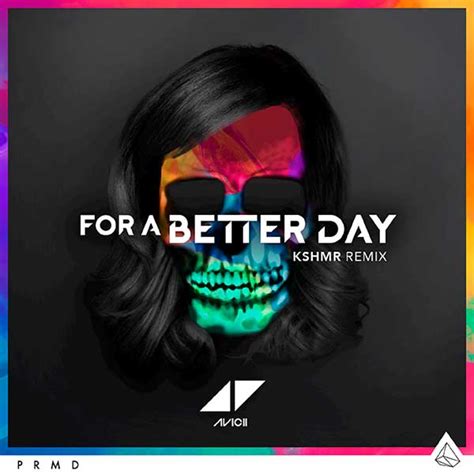 avicii - for a better day