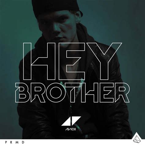 avicii hey brother videos