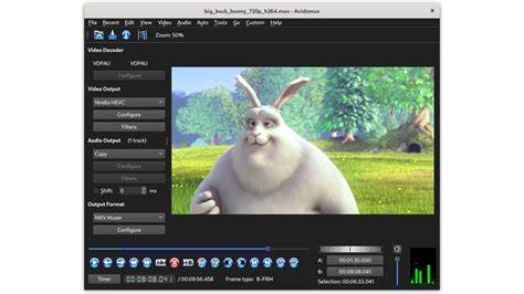 Avidemux