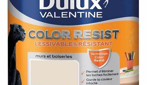 Avis Peinture Dulux Valentine Cuisine Et Bain Livreetvin.fr