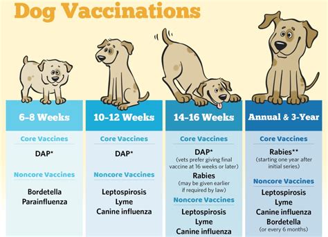 avma canine vaccine guidelines