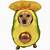 avocado costume for dogs