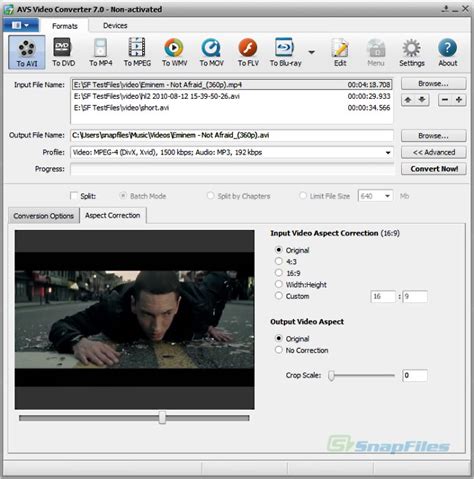 avs 194387 video converter