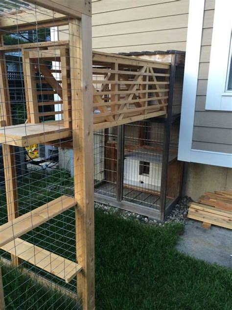 Cat Fencing & Catio Ideas Secured Cat Garden Design Outdoor cat