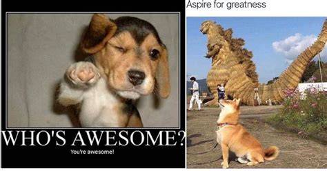 20 Memes About Being Awesome That'll Make Your Day